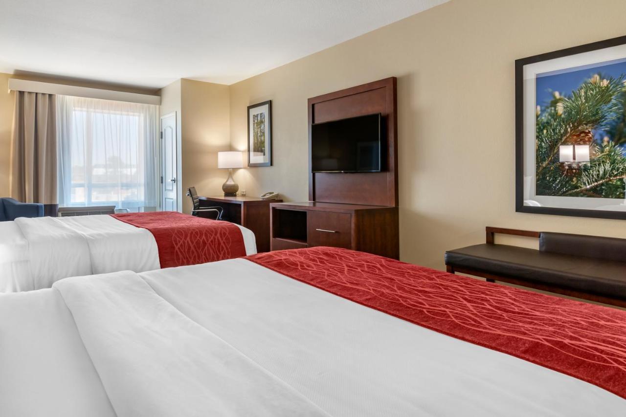 Comfort Inn & Suites Tifton Pokój zdjęcie
